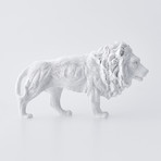 Lion // White