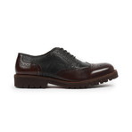 Capo Light Men's Wingtip Brogue Oxfords // Black Brown (US: 12)