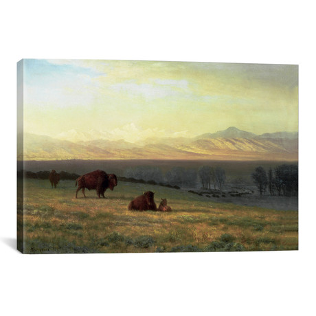 Buffalo On The Plains c.1890 // Albert Bierstadt (26"W x 18"H x 0.75"D)