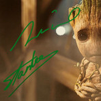 Baby Groot // Vin Diesel + Stan Lee Signed Memorabilia (Signed Pop! Only)