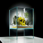 Elevate Terrarium // Yellow Skull DIY Kit
