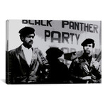 Black Panther Party // Unknown Artist (18"W x 12"H x 0.75"D)