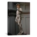 David // Michelangelo (18"W x 26"H x 0.75"D)