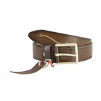 Fortezia Belt // Dark Brown (50)