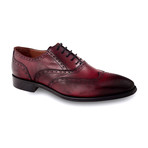 Sojka Shoe // Burgundy (Euro: 41)