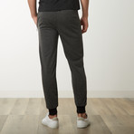 French Terry Joggers // Charcoal (L)