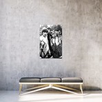 The Who In Flower Garden // SMP-Globe Photos, Inc.