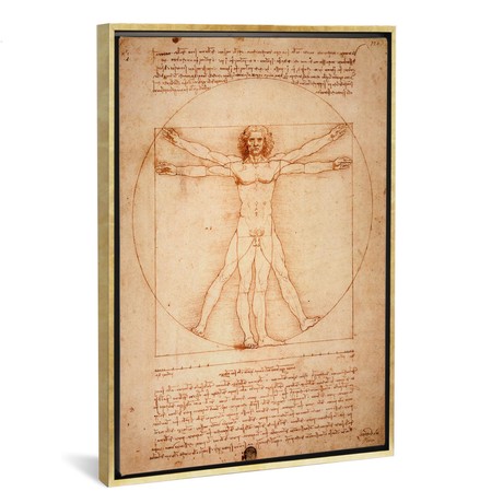 Vitruvian Man c.1490 // Leonardo da Vinci (26"W x 18"H x 0.75"D)