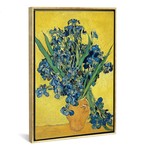 Irises 1890 // Vincent van Gogh