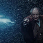 Harry Potter Wand // Horace Slughorn