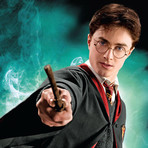 Harry Potter Wand // Harry Potter