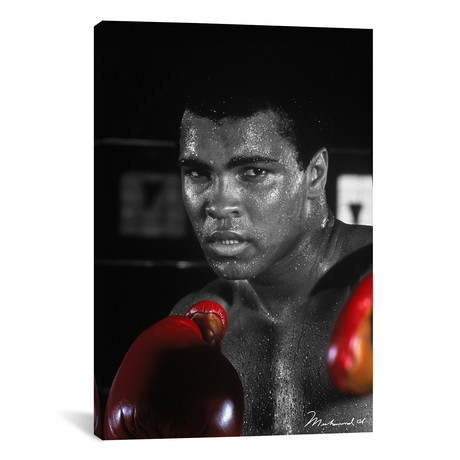 Muhammad Ali In Training // Muhammad Ali Enterprises (26"W x 40"H x 1.5"D)