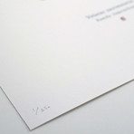 Volatus Trimotoria // TIE Pilot