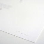 Malluvium Volans // Millenium Falcon