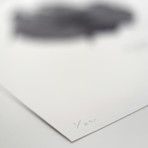 Malluvium Volans // Millenium Falcon