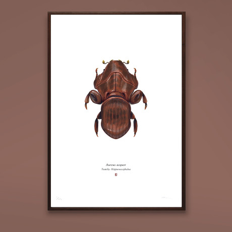 Aureus Aequor // Admiral Akbar