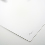 Chaetebarbatus Bonamicii // Chewbacca