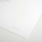 Chaetebarbatus Bonamicii // Chewbacca