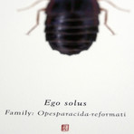 Ego Solus // Han Solo