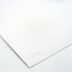 Consocius Potiopoetapolitus // C-3PO