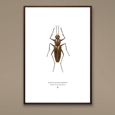 Consocius Potiopoetapolitus // C-3PO