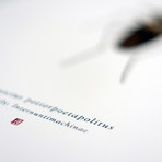 Consocius Potiopoetapolitus // C-3PO