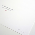 Roboduobus Deoduobus // R2D2