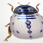 Roboduobus Deoduobus // R2D2