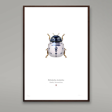 Roboduobus Deoduobus // R2D2