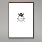 Roboduobus Deoduobus // R2D2