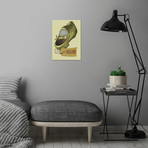 Holland (12.6"W x 17.72"H)