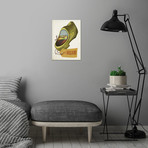 Holland (12.6"W x 17.72"H)