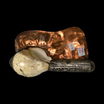 Sacred Tibetan Silver Conch Shell Trumpet // 1