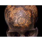 Dayak Headhunter Human Trophy Skull ‘Ndaokus’ // 3