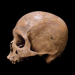 Dayak Headhunter Human Trophee Skull ‘Ndaokus’ // 2