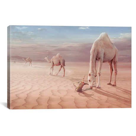 Camel`s Trip // Sulaiman Almawash