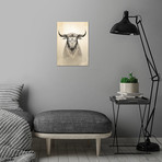 Wild Animals Series // Deer Bull