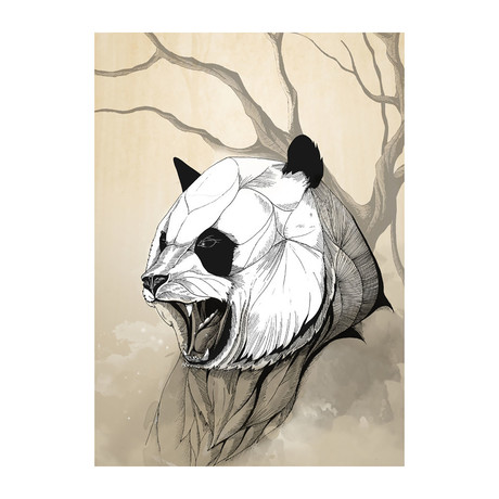 Wild Animals Series // Angry Panda