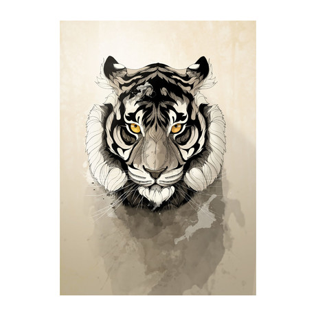 Wild Animals Series // Tiger