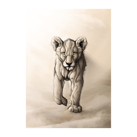 Wild Animals Series // Little Lion