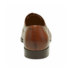Darek // Tan (Euro: 44)