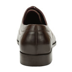 Blake // Brown (Euro: 40)