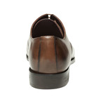 Bart // Brown (Euro: 40)