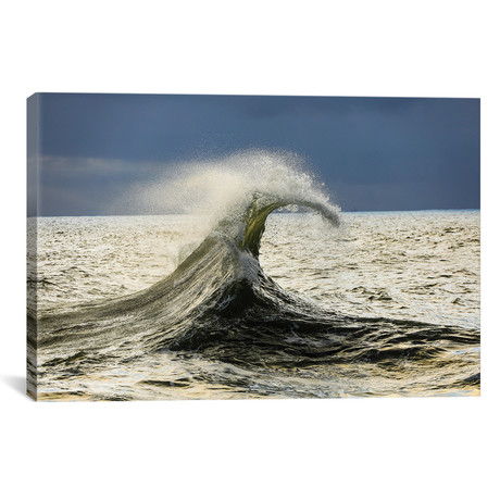 Waves In The Pacific Ocean, San Pedro, Los Angeles, Californ // Panoramic Images (18"W x 26"H x 0.75"D)