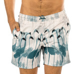 Swim Shorts // Flamingo (XL)