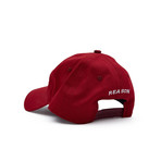 RSN Dad Cap Red