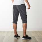 Sanda Capri Pants // Gray (S)