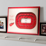 Detroit Red Wings Wall Art (5-Layer)
