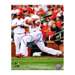 David Freese Signed St Louis Cardinals Swinging Action // 8x10 Photo