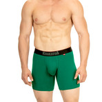 Classic Boxer Brief // Forest Green (L)